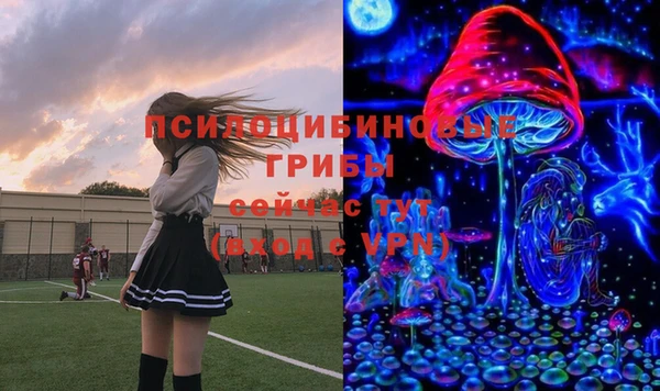 2c-b Алзамай